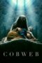 Nonton film Cobweb terbaru