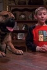 Nonton film Malcolm in the Middle Season 3 Episode 17 terbaru