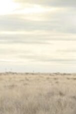 Nonton film Breaking Bad Season 3 Episode 13 terbaru
