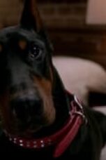 Nonton film Supernatural Season 8 Episode 15 terbaru
