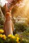 Nonton film The Velveteen Rabbit terbaru