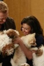 Nonton film Grey’s Anatomy Season 12 Episode 14 terbaru