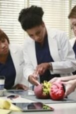 Nonton film Grey’s Anatomy Season 11 Episode 10 terbaru