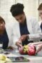 Nonton film Grey’s Anatomy Season 11 Episode 10 terbaru