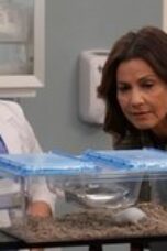 Nonton film Grey’s Anatomy Season 14 Episode 14 terbaru