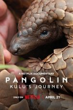 Nonton film Pangolin: Kulu’s Journey terbaru