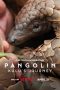 Nonton film Pangolin: Kulu’s Journey terbaru