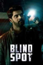 Nonton film Blind Spot terbaru
