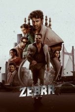 Nonton film Zebra terbaru