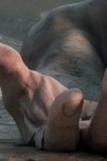 Nonton film Love, Death & Robots Season 2 Episode 8 terbaru