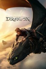 Nonton film How to Train Your Dragon terbaru