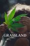 Nonton film Grassland (2025) terbaru Nonton film Grassland (2025) terbaru