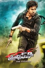 Nonton film Bruce Lee – The Fighter (2015) terbaru