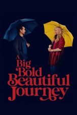 Nonton film A Big Bold Beautiful Journey (2025) terbaru
