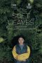 Nonton film Soft Leaves terbaru Nonton film Soft Leaves terbaru