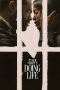Nonton film Doing Life terbaru